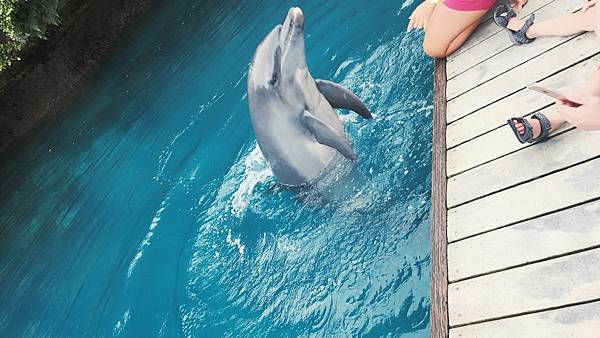 🌤️帛琉行🇵🇼🕶🏖_180715_0056 🌤️帛琉行🇵🇼🕶🏖_180715_0056