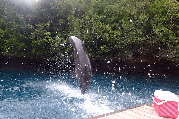 🌤️帛琉行🇵🇼🕶🏖_180724_0325 🌤️帛琉行🇵🇼🕶🏖_180724_0325