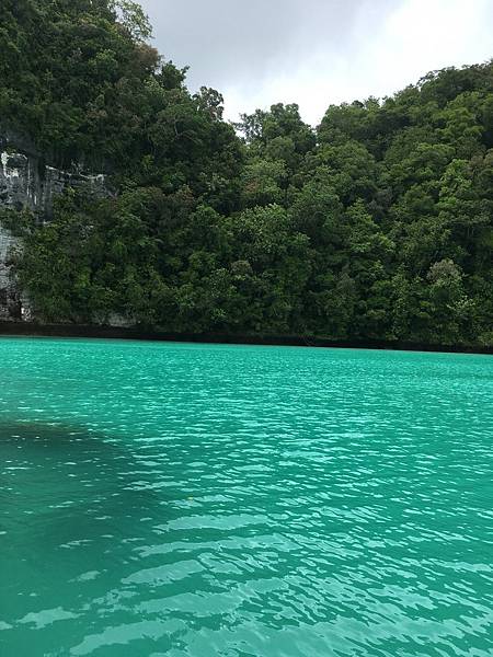 🌤️帛琉行🇵🇼🕶🏖_180715_0079 🌤️帛琉行🇵🇼🕶🏖_180715_0079