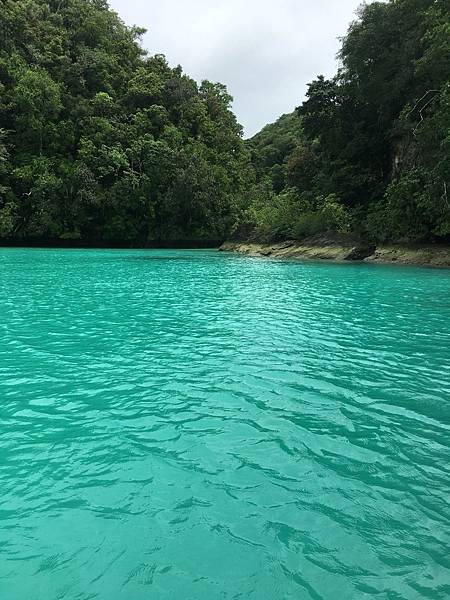 🌤️帛琉行🇵🇼🕶🏖_180715_0078 🌤️帛琉行🇵🇼🕶🏖_180715_0078
