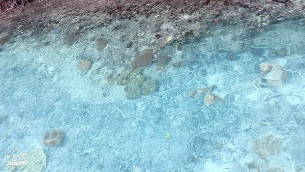 🌤️帛琉行🇵🇼🕶🏖_180715_0053 🌤️帛琉行🇵🇼🕶🏖_180715_0053