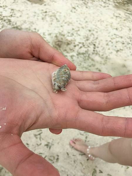 🌤️帛琉行🇵🇼🕶🏖_180715_0039 🌤️帛琉行🇵🇼🕶🏖_180715_0039