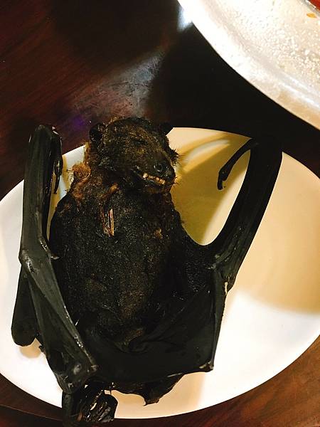 🌤️帛琉行🇵🇼🕶🏖_180715_0004 🌤️帛琉行🇵🇼🕶🏖_180715_0004