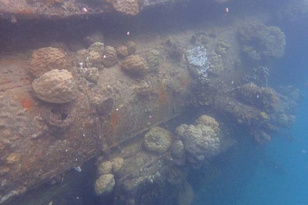 🌤️帛琉行🇵🇼🕶🏖_180812_0305 🌤️帛琉行🇵🇼🕶🏖_180812_0305