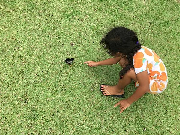 帛琉🇵🇼_180715_0101 帛琉🇵🇼_180715_0101