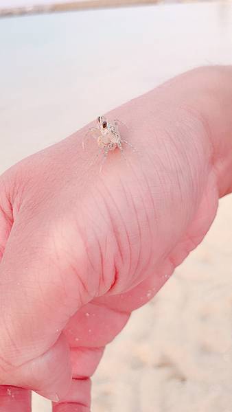 <遊記-日本沖繩>2019.09.13 沖繩自遊行DAY3. <遊記-日本沖繩>2019.09.13 沖繩自遊行DAY3.
