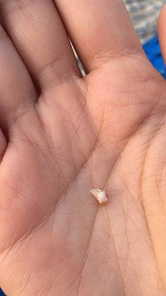 <遊記-日本沖繩>2019.09.13 沖繩自遊行DAY3. <遊記-日本沖繩>2019.09.13 沖繩自遊行DAY3.