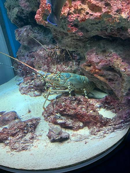 <遊記-日本沖繩>2019.09.13 沖繩自遊行DAY3. <遊記-日本沖繩>2019.09.13 沖繩自遊行DAY3.