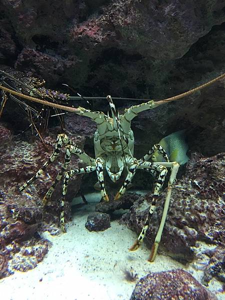 <遊記-日本沖繩>2019.09.13 沖繩自遊行DAY3. <遊記-日本沖繩>2019.09.13 沖繩自遊行DAY3.