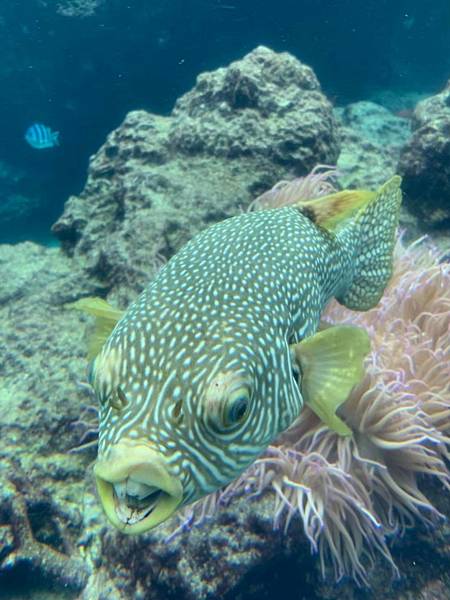 <遊記-日本沖繩>2019.09.13 沖繩自遊行DAY3.