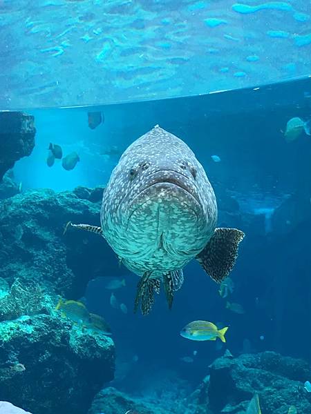 <遊記-日本沖繩>2019.09.13 沖繩自遊行DAY3. <遊記-日本沖繩>2019.09.13 沖繩自遊行DAY3.