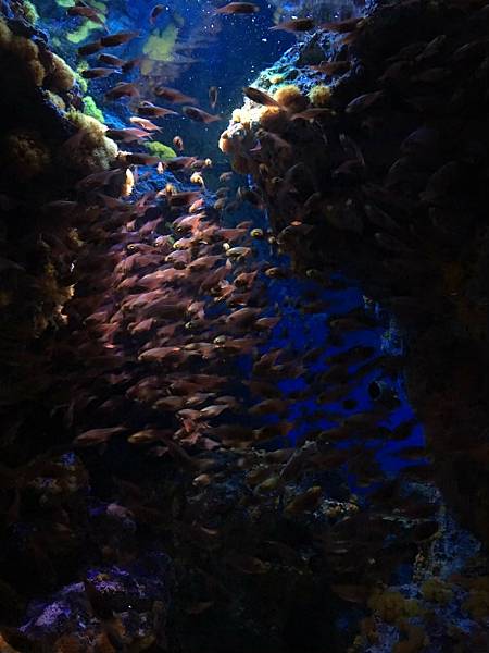 <遊記-日本沖繩>2019.09.13 沖繩自遊行DAY3. <遊記-日本沖繩>2019.09.13 沖繩自遊行DAY3.