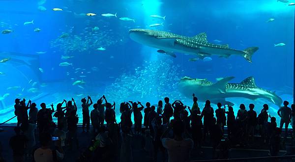 <遊記-日本沖繩>2019.09.13 沖繩自遊行DAY3. <遊記-日本沖繩>2019.09.13 沖繩自遊行DAY3.