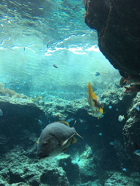 <遊記-日本沖繩>2019.09.13 沖繩自遊行DAY3. <遊記-日本沖繩>2019.09.13 沖繩自遊行DAY3.