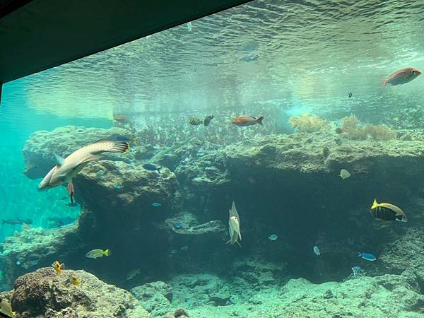 <遊記-日本沖繩>2019.09.13 沖繩自遊行DAY3. <遊記-日本沖繩>2019.09.13 沖繩自遊行DAY3.