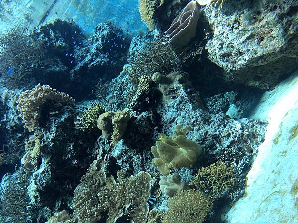 <遊記-日本沖繩>2019.09.13 沖繩自遊行DAY3. <遊記-日本沖繩>2019.09.13 沖繩自遊行DAY3.