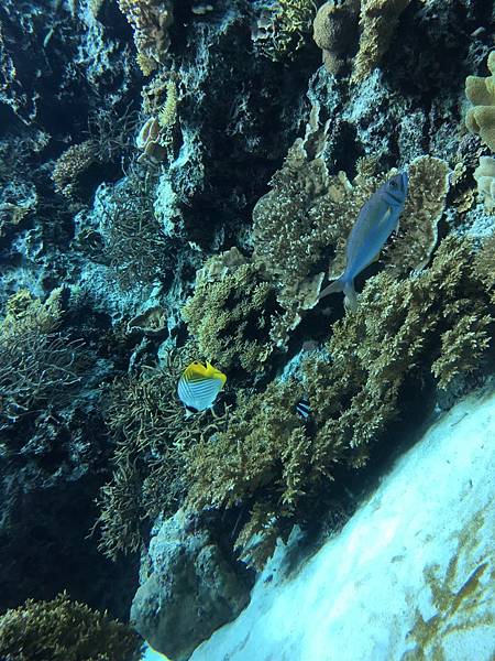 <遊記-日本沖繩>2019.09.13 沖繩自遊行DAY3. <遊記-日本沖繩>2019.09.13 沖繩自遊行DAY3.