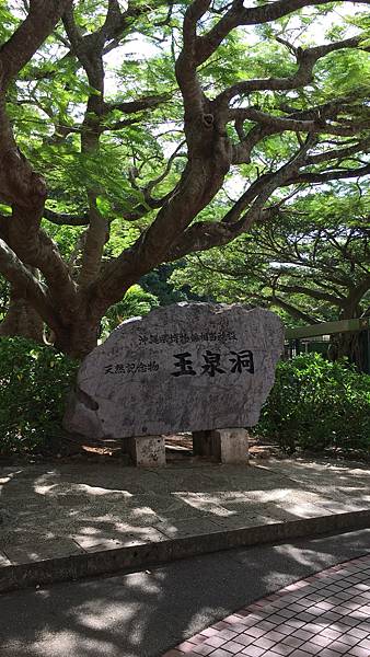 2019.09.14 沖繩自遊行DAY4. 玉泉洞&國王村 2019.09.14 沖繩自遊行DAY4. 玉泉洞&國王村