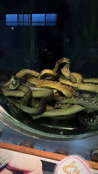 2019.09.14 沖繩自遊行DAY4. 玉泉洞&國王村 2019.09.14 沖繩自遊行DAY4. 玉泉洞&國王村