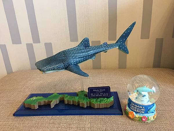 2019沖一波_210711_1 2019沖一波_210711_1