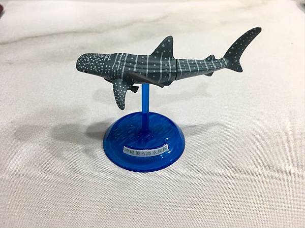 2019沖一波_210711_3 2019沖一波_210711_3