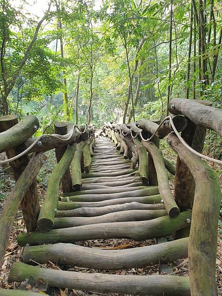 2. 大坑步道 (26) 2. 大坑步道 (26)