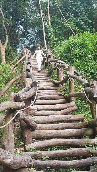 2. 大坑步道 (3) 2. 大坑步道 (3)