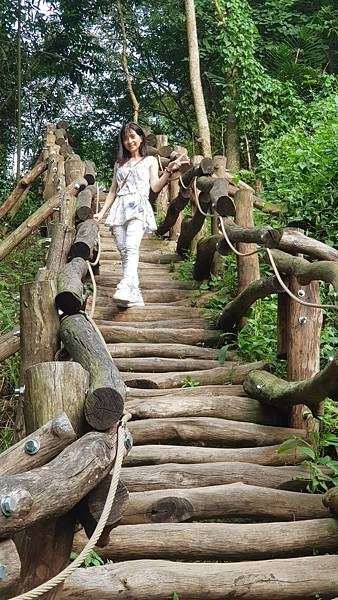 2. 大坑步道 (8) 2. 大坑步道 (8)