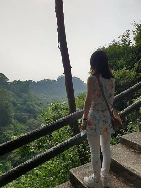 2. 大坑步道 (23) 2. 大坑步道 (23)