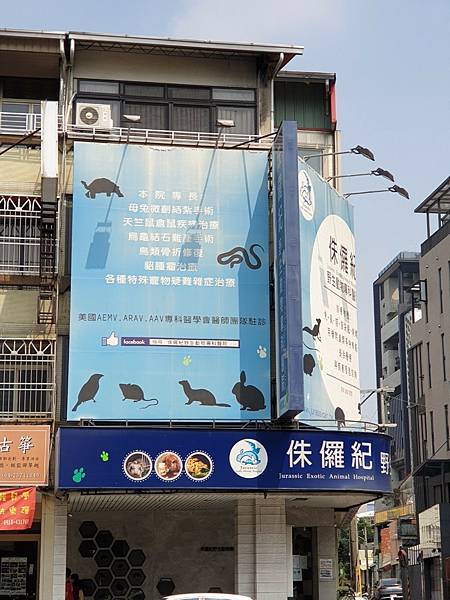 其他 (2) 其他 (2)