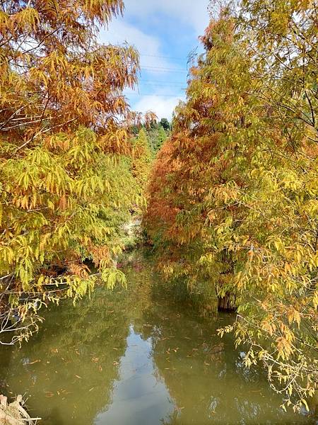 <遊記-苗栗南庄>2022苗栗一日遊 三灣落雨松-南庄老街 <遊記-苗栗南庄>2022苗栗一日遊 三灣落雨松-南庄老街