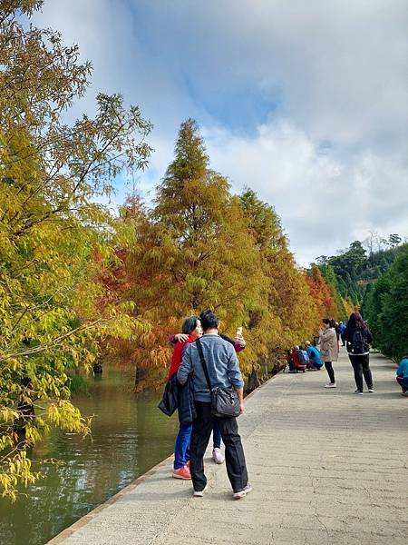 <遊記-苗栗南庄>2022苗栗一日遊 三灣落雨松-南庄老街 <遊記-苗栗南庄>2022苗栗一日遊 三灣落雨松-南庄老街