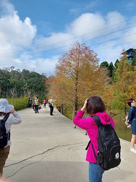<遊記-苗栗南庄>2022苗栗一日遊 三灣落雨松-南庄老街 <遊記-苗栗南庄>2022苗栗一日遊 三灣落雨松-南庄老街