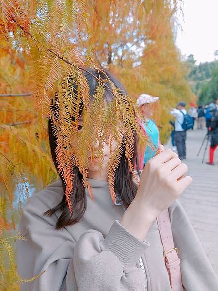 <遊記-苗栗南庄>2022苗栗一日遊 三灣落雨松-南庄老街 <遊記-苗栗南庄>2022苗栗一日遊 三灣落雨松-南庄老街