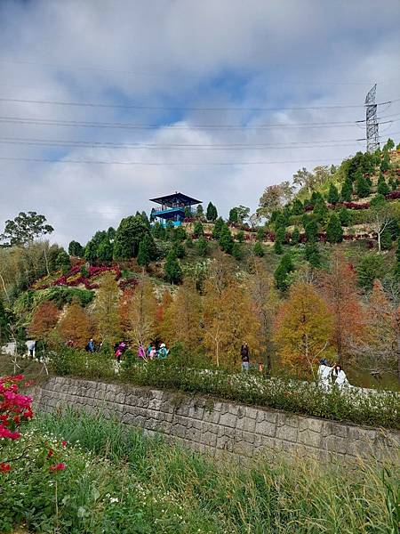 <遊記-苗栗南庄>2022苗栗一日遊 三灣落雨松-南庄老街 <遊記-苗栗南庄>2022苗栗一日遊 三灣落雨松-南庄老街