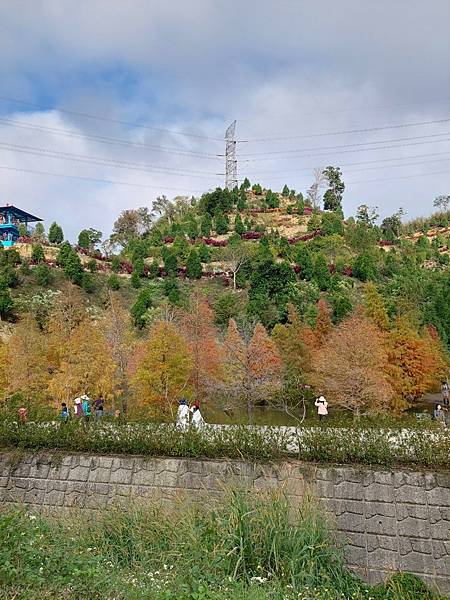 <遊記-苗栗南庄>2022苗栗一日遊 三灣落雨松-南庄老街 <遊記-苗栗南庄>2022苗栗一日遊 三灣落雨松-南庄老街