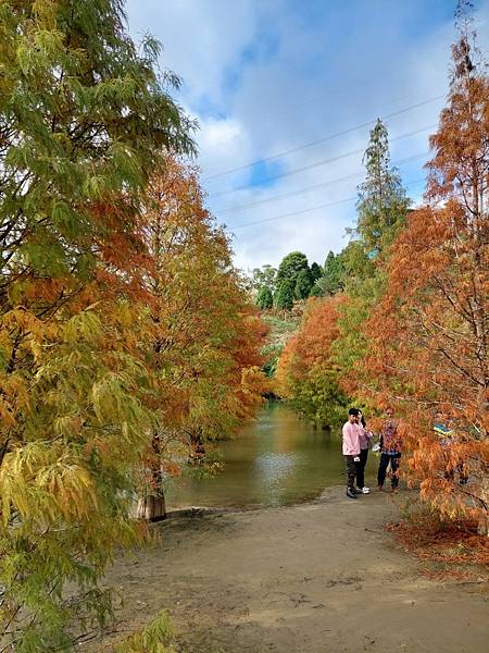 <遊記-苗栗南庄>2022苗栗一日遊 三灣落雨松-南庄老街 <遊記-苗栗南庄>2022苗栗一日遊 三灣落雨松-南庄老街