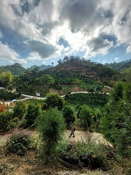 <遊記-苗栗南庄>2022苗栗一日遊 三灣落雨松-南庄老街 <遊記-苗栗南庄>2022苗栗一日遊 三灣落雨松-南庄老街