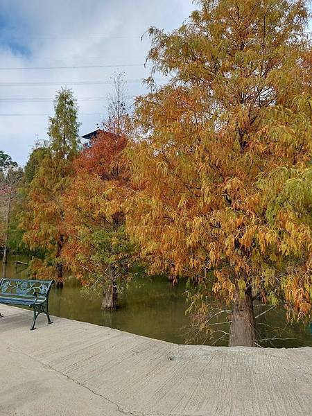 <遊記-苗栗南庄>2022苗栗一日遊 三灣落雨松-南庄老街 <遊記-苗栗南庄>2022苗栗一日遊 三灣落雨松-南庄老街