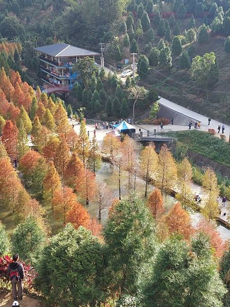 <遊記-苗栗南庄>2022苗栗一日遊 三灣落雨松-南庄老街 <遊記-苗栗南庄>2022苗栗一日遊 三灣落雨松-南庄老街