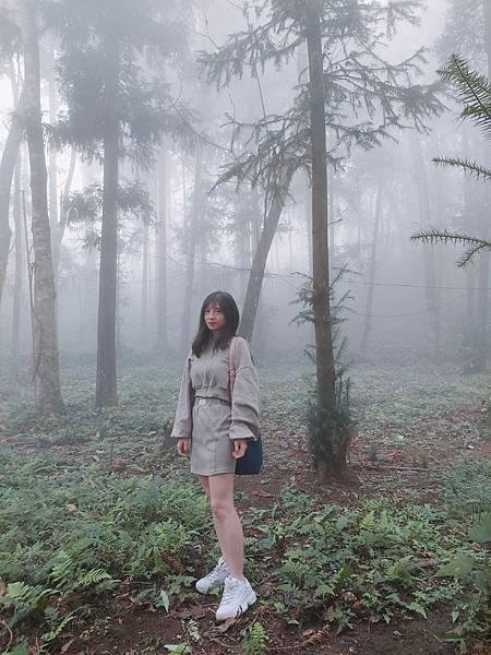 <遊記-苗栗南庄>2022苗栗一日遊 三灣落雨松-南庄老街 <遊記-苗栗南庄>2022苗栗一日遊 三灣落雨松-南庄老街