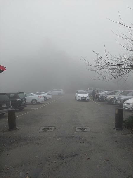 <遊記-苗栗南庄>2022苗栗一日遊 三灣落雨松-南庄老街 <遊記-苗栗南庄>2022苗栗一日遊 三灣落雨松-南庄老街