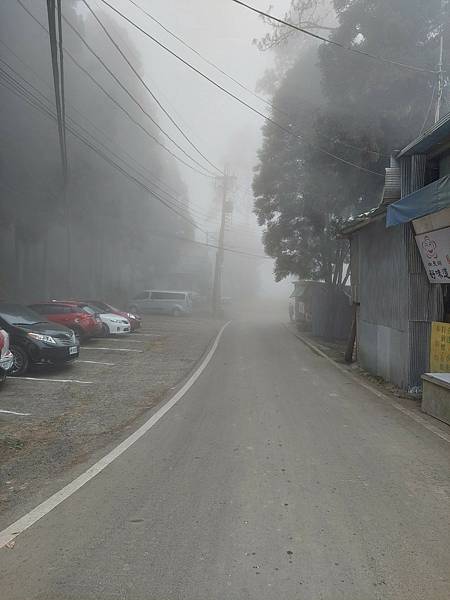 <遊記-苗栗南庄>2022苗栗一日遊 三灣落雨松-南庄老街 <遊記-苗栗南庄>2022苗栗一日遊 三灣落雨松-南庄老街