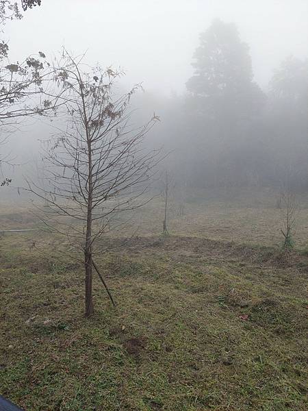<遊記-苗栗南庄>2022苗栗一日遊 三灣落雨松-南庄老街 <遊記-苗栗南庄>2022苗栗一日遊 三灣落雨松-南庄老街