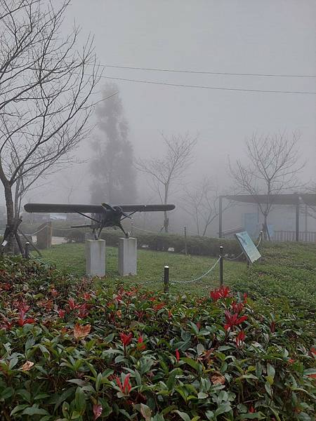 <遊記-苗栗南庄>2022苗栗一日遊 三灣落雨松-南庄老街 <遊記-苗栗南庄>2022苗栗一日遊 三灣落雨松-南庄老街