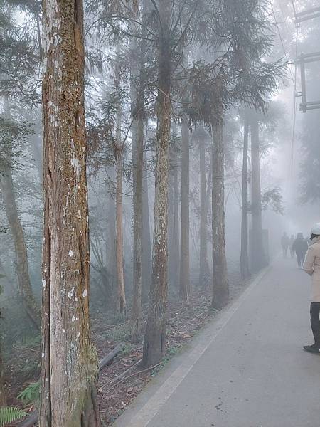 <遊記-苗栗南庄>2022苗栗一日遊 三灣落雨松-南庄老街 <遊記-苗栗南庄>2022苗栗一日遊 三灣落雨松-南庄老街