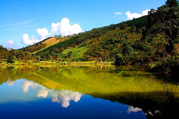 <遊記-苗栗南庄>2022苗栗一日遊 三灣落雨松-南庄老街 <遊記-苗栗南庄>2022苗栗一日遊 三灣落雨松-南庄老街