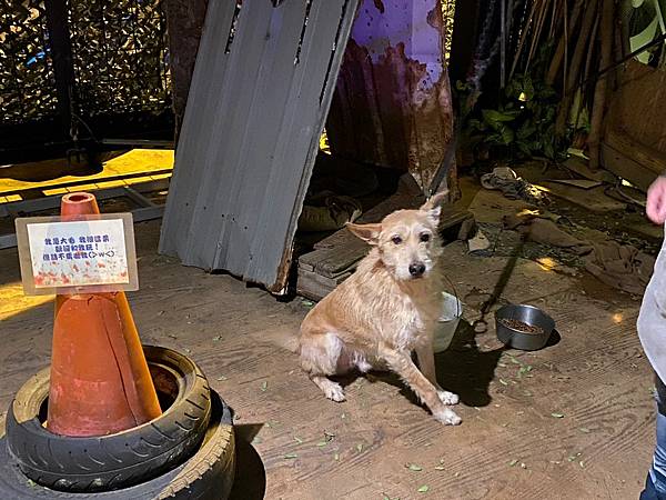 LINE_ALBUM_佳餘生日趴_230211_3 LINE_ALBUM_佳餘生日趴_230211_3