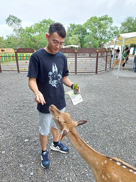 <遊記-宜蘭冬山>2024 斑比山丘零距離的接觸,把你的美 <遊記-宜蘭冬山>2024 斑比山丘零距離的接觸,把你的美