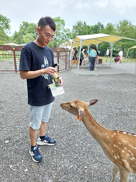 <遊記-宜蘭冬山>2024 斑比山丘零距離的接觸,把你的美 <遊記-宜蘭冬山>2024 斑比山丘零距離的接觸,把你的美